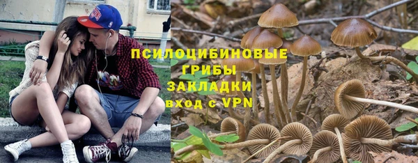 прущие грибы Богданович