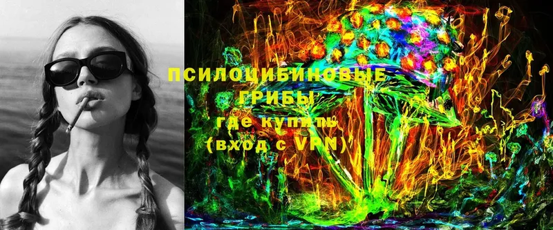 mega как войти  цена   Десногорск  Галлюциногенные грибы Psilocybine cubensis 